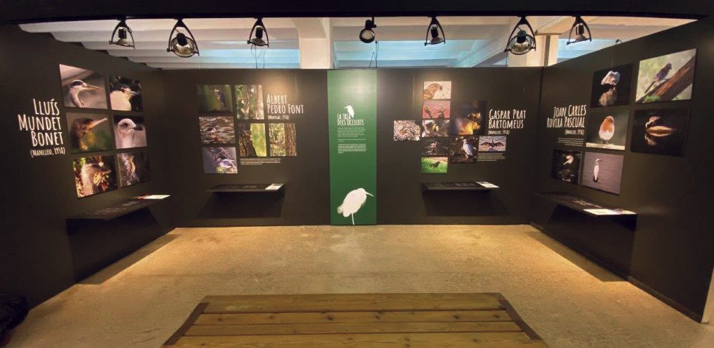 Museudelter_exposició_ocellots_del_ter (7)